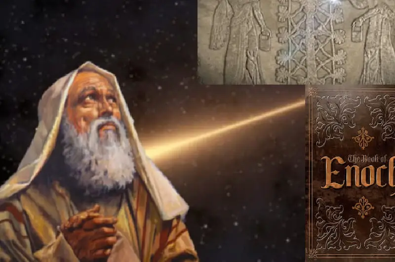 آیا یک نژاد برتر انسان را آفریده است یا نه