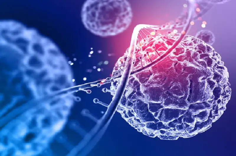 کشف شدن اولین مورد سرطان انسان در فسیل 1.7 میلیون