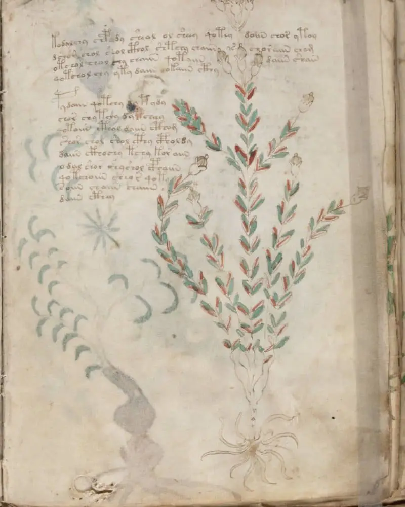 دست نوشته مرموز Voynich سرانجام رمزگشایی شد
