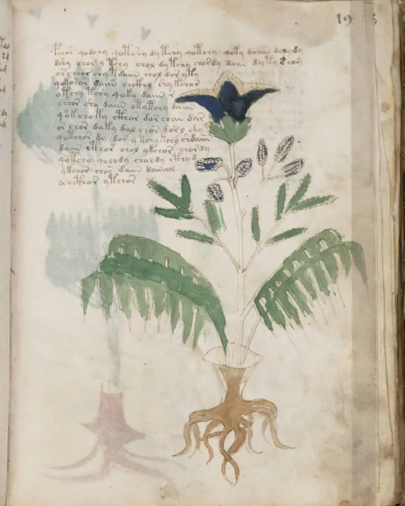 دست نوشته مرموز Voynich سرانجام رمزگشایی شد